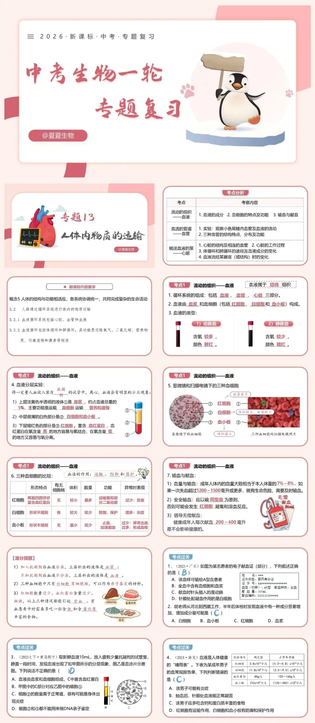 夏夏生物2026中考复习专题13《人体内物质的运输》课件、教学视频完整版,限时送满分秘籍! 第3张