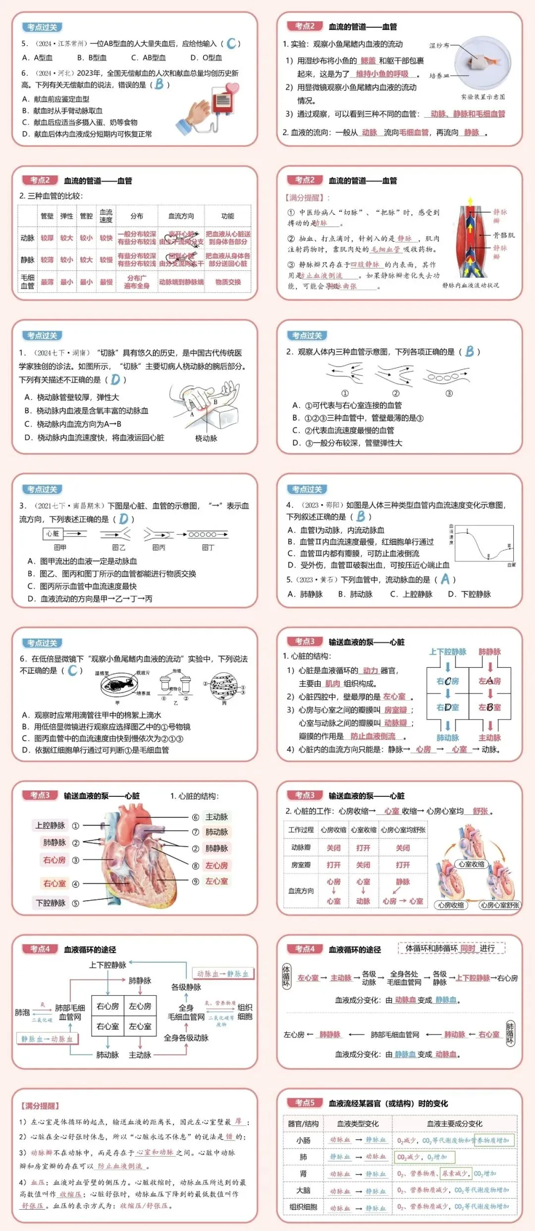 夏夏生物2026中考复习专题13《人体内物质的运输》课件、教学视频完整版,限时送满分秘籍! 第4张