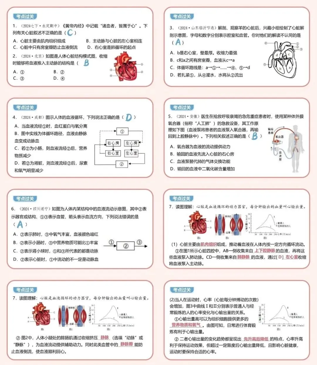 夏夏生物2026中考复习专题13《人体内物质的运输》课件、教学视频完整版,限时送满分秘籍! 第5张