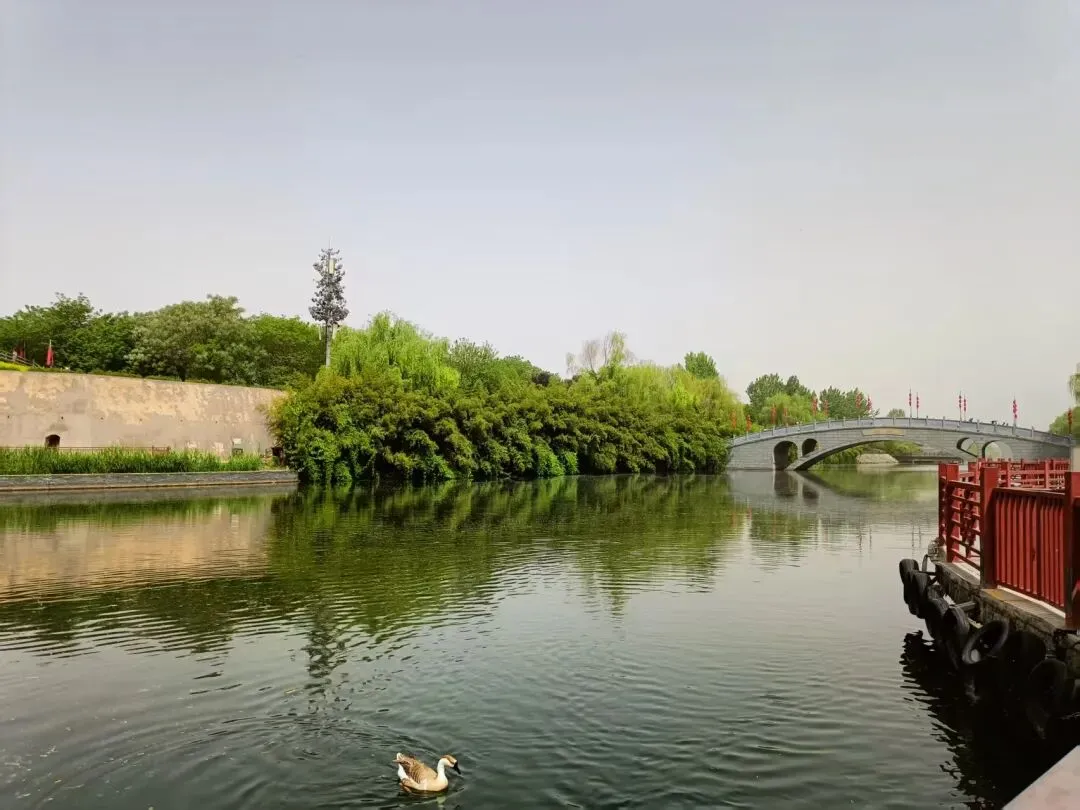 儿子从体育倒数第一到中考满分的逆袭之路(1) 第2张 儿子从体育倒数第一到中考满分的逆袭之路(1) 第2张