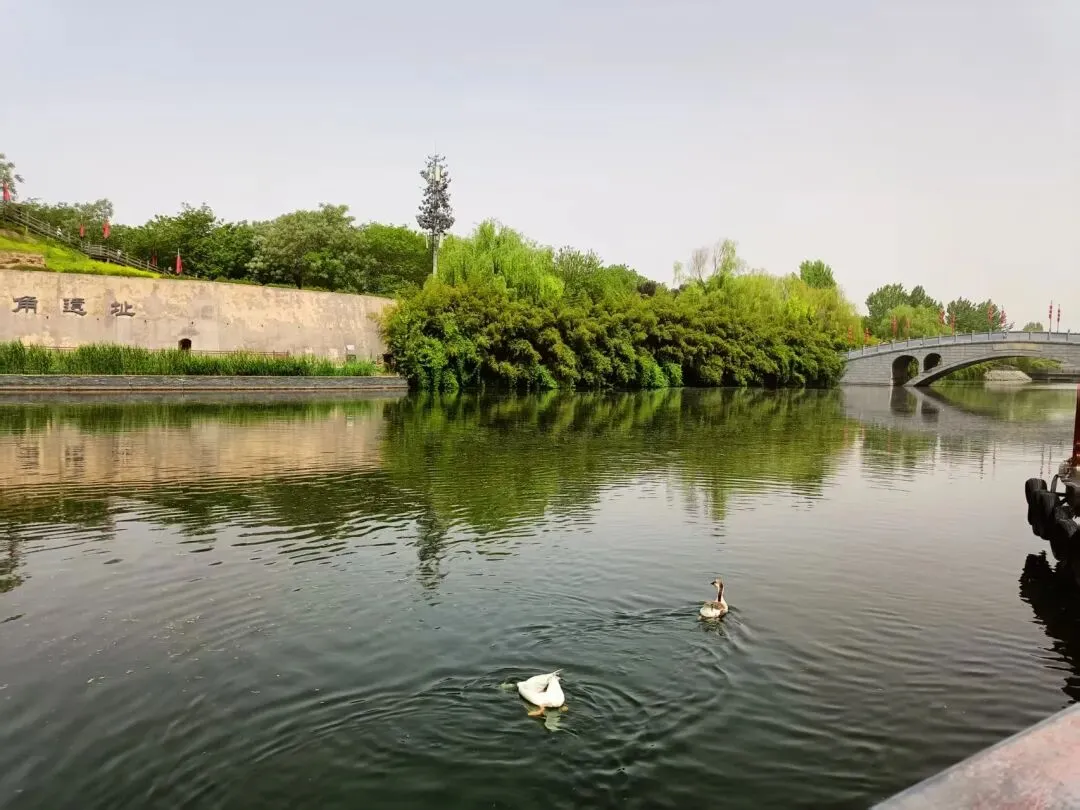 儿子从体育倒数第一到中考满分的逆袭之路(1) 第4张 儿子从体育倒数第一到中考满分的逆袭之路(1) 第4张