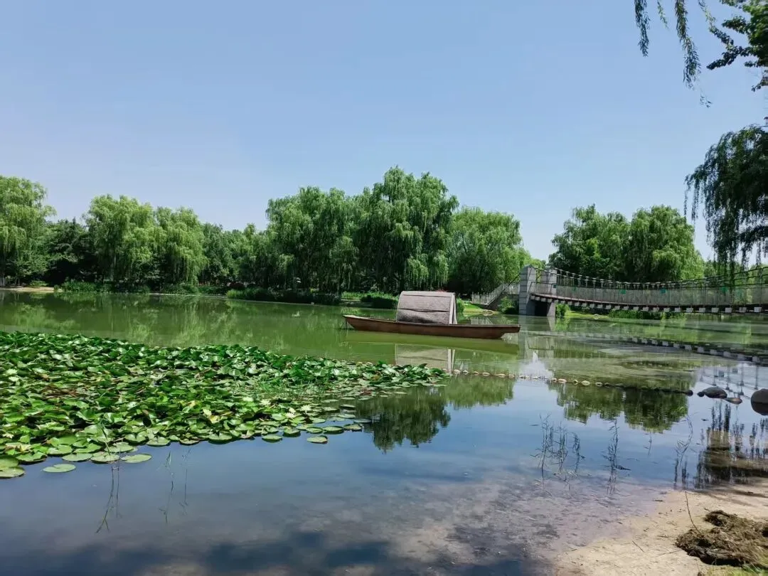 儿子从体育倒数第一到中考满分的逆袭之路(1) 第7张 儿子从体育倒数第一到中考满分的逆袭之路(1) 第7张