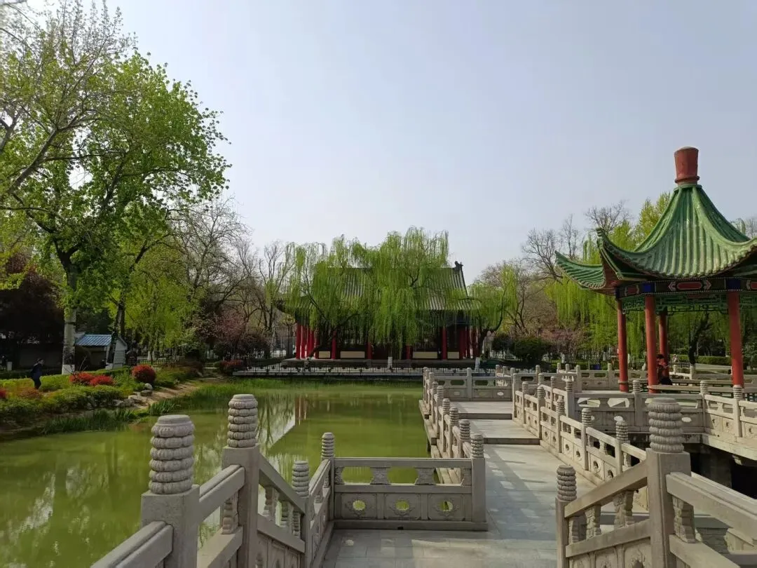 儿子从体育倒数第一到中考满分的逆袭之路(1) 第8张 儿子从体育倒数第一到中考满分的逆袭之路(1) 第8张