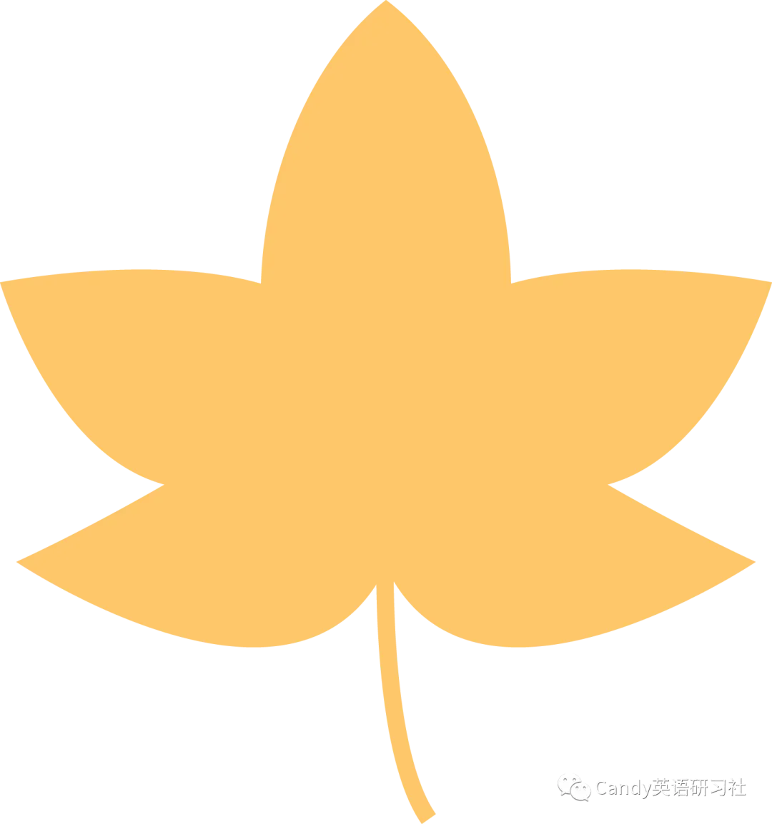 【永久免费】2026中考数理化常考考点专题,附下载链接! 第1张