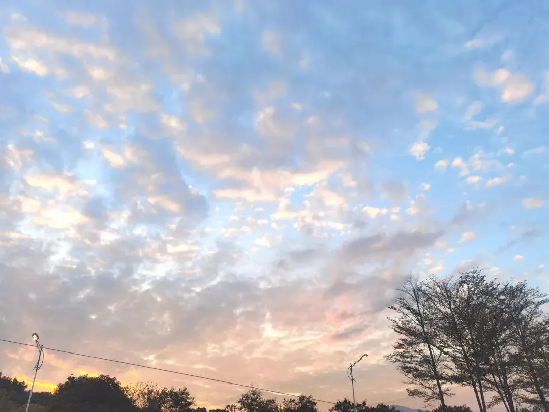 “一检”不是终点,是中考起跳前的“深蹲”——一位陪读妈妈的真心话 第1张