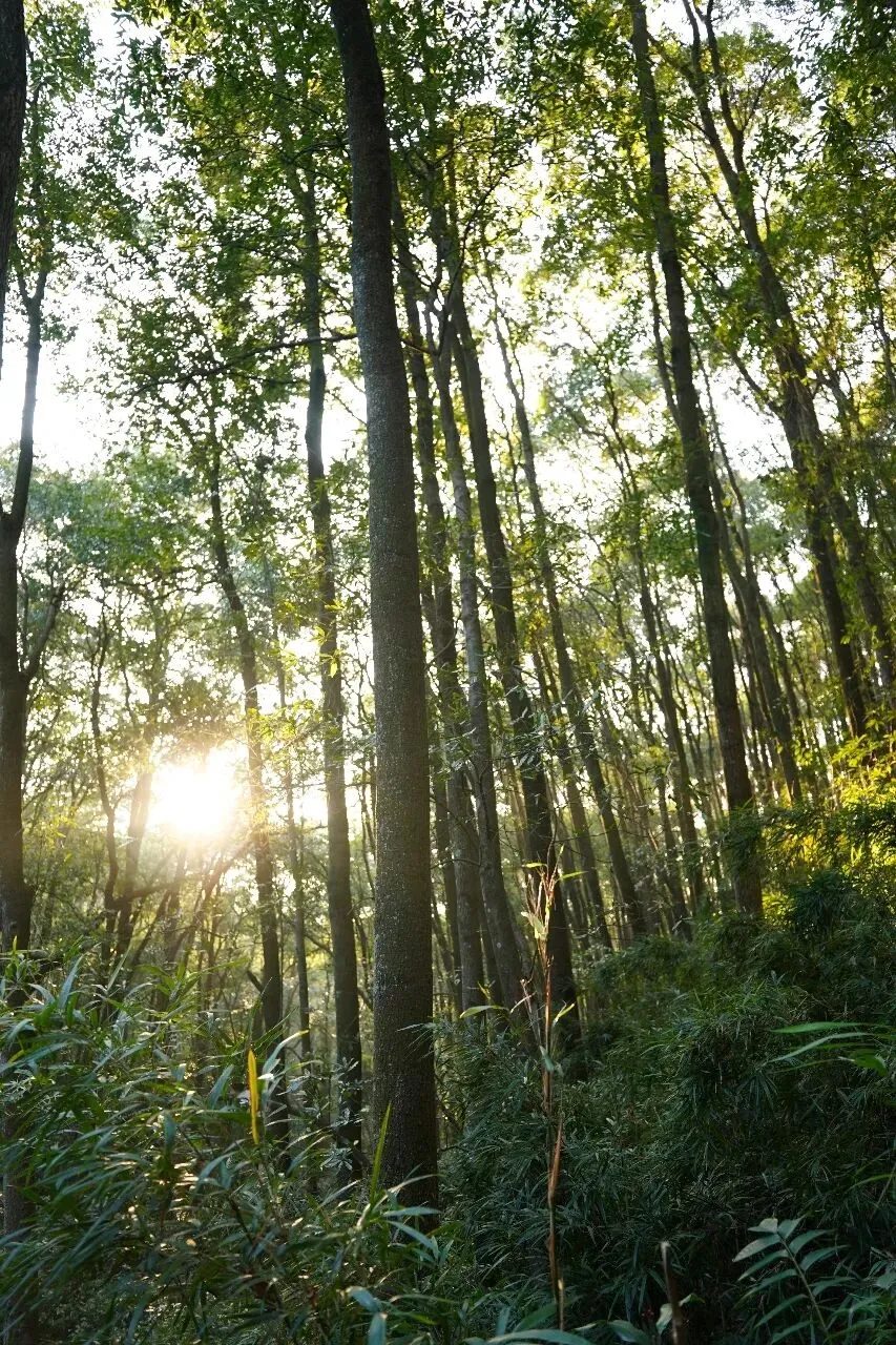 “一检”不是终点,是中考起跳前的“深蹲”——一位陪读妈妈的真心话 第4张