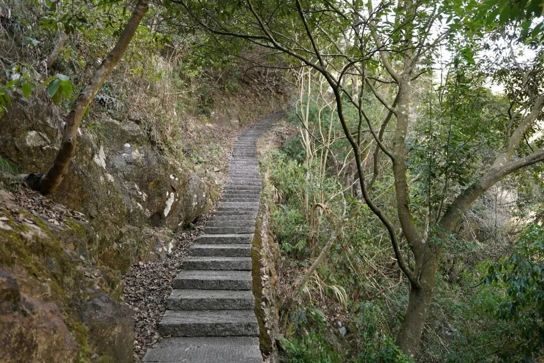 “一检”不是终点,是中考起跳前的“深蹲”——一位陪读妈妈的真心话 第5张