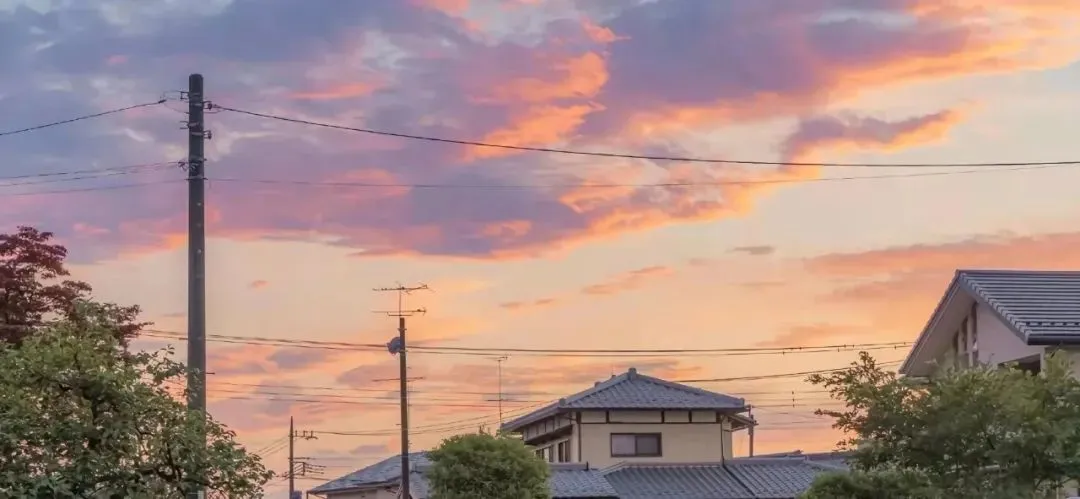 2026中考语文作文押题:【劳动类】作文(范文7篇,可收藏) 第8张