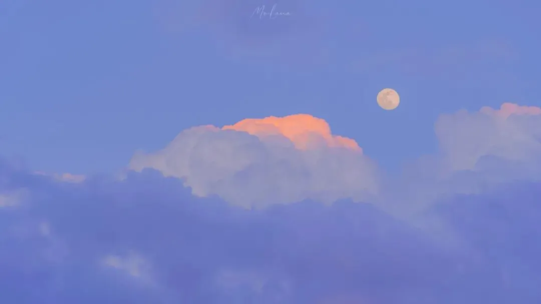 2026中考语文作文押题:【劳动类】作文(范文7篇,可收藏) 第11张