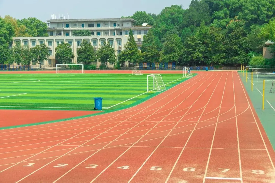 定了!宁波中心城区体育中考选测项目公布 第1张 定了!宁波中心城区体育中考选测项目公布 第1张