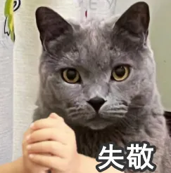 中考时间、体育项目和标准、普高录取线……中考资料集合,来了 第10张