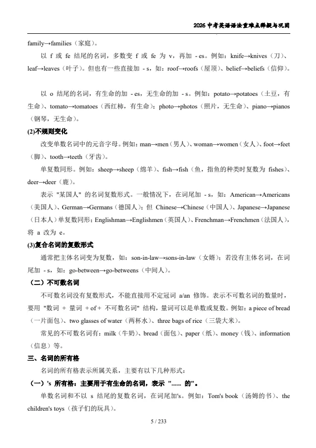 2026年初中《中考英语重难点释疑与巩固》18个语法专题+题型特训+解析 第6张