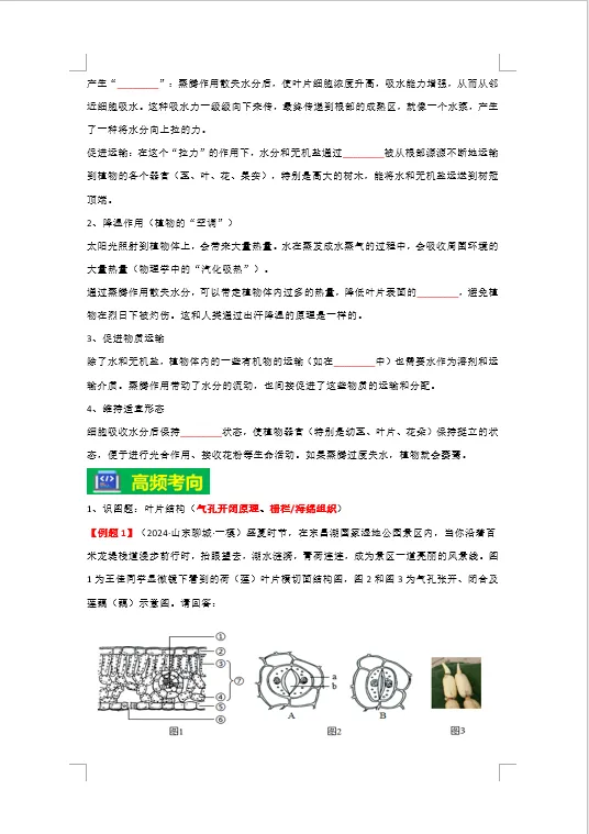 2026年生物会考《中考复习疑难点专练原卷板》有解析版,电子版可下载可打印 第15张