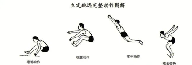 衡水2026年中考体育三项+锻炼规划(衡水初三家长) 第2张