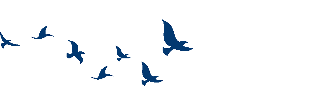 2026中考作文想拿满分,看这5篇就够了(附名师点评)! 第2张