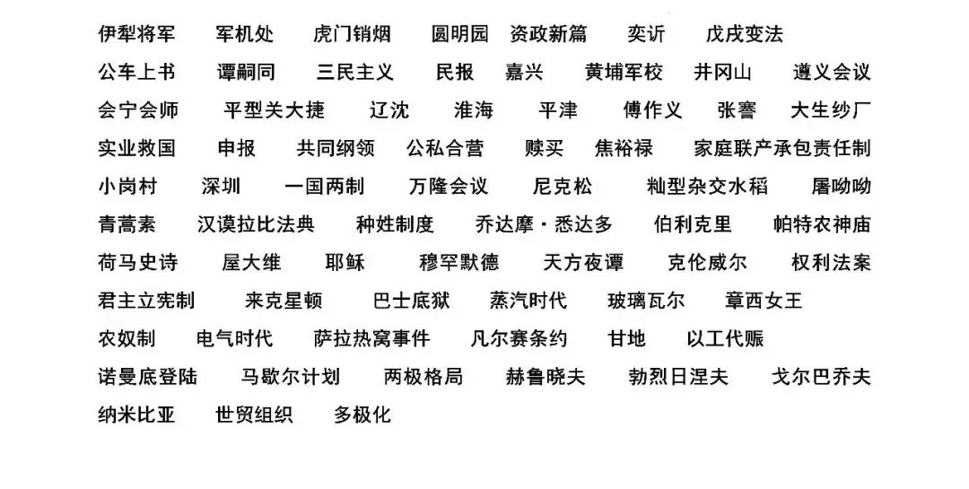 【中考复习】|2026年历史中考知识记背册 第41张