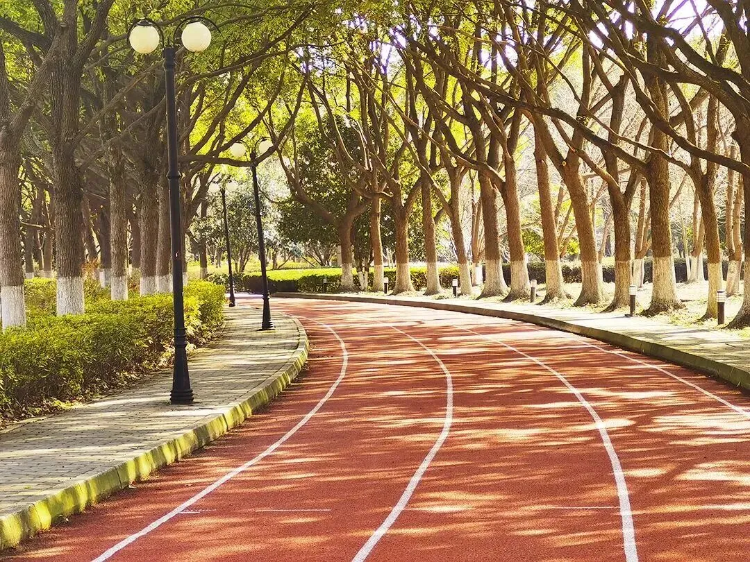 【第189期】中考古诗文复习指导策略(九)——在题海战术中突围 在素养考场里扎根 第30张