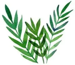 中考美术专业招生简章 第36张 中考美术专业招生简章 第36张