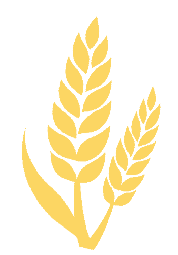 她的建议,关乎长春中考录取规则! 第2张