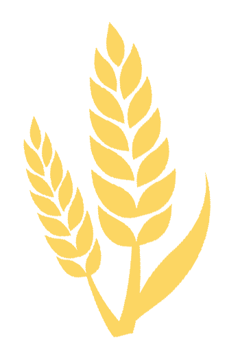 她的建议,关乎长春中考录取规则! 第3张