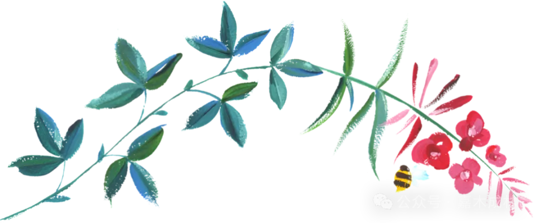 2026中考必刷:5年中考真题分类练习|文末下载 第2张