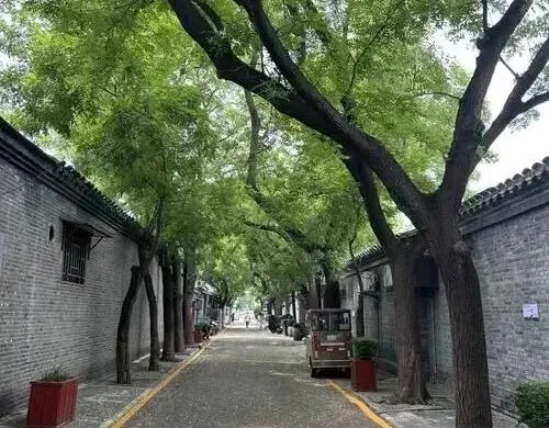 中考佳作游记篇:北京胡同游 第1张 中考佳作游记篇:北京胡同游 第1张