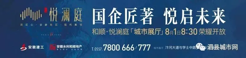 2020年中考,宿州市各高中录取分数线来了 第2张
