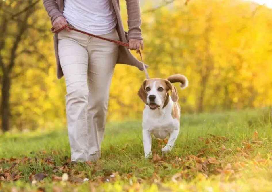 每天一句话,记完中考2000词,第五十九天 第1张 每天一句话,记完中考2000词,第五十九天 第1张