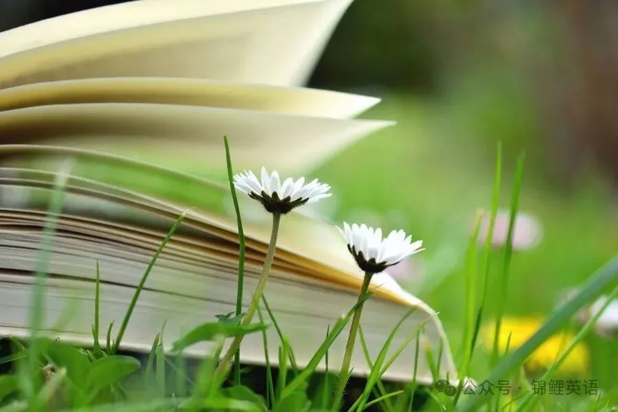 2025大庆市中考真题-英语 第1张 2025大庆市中考真题-英语 第1张