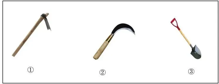 2026年中考专项复习:语言文字专题 第01讲 巧辨字音字形(练习)(解析版) 第5张 2026年中考专项复习:语言文字专题 第01讲 巧辨字音字形(练习)(解析版) 第5张