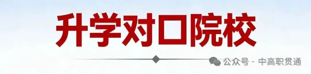 甘肃中考2026年择校热门中职专业④:计算机应用专业介绍及升学就业前景解读【建议转发收藏】 第3张