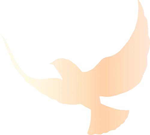 【中考试卷库】2001~2025年上海市中考全科真题试卷及答案解析word文件合集,持续更新,文末可下载 第13张 【中考试卷库】2001~2025年上海市中考全科真题试卷及答案解析word文件合集,持续更新,文末可下载 第13张