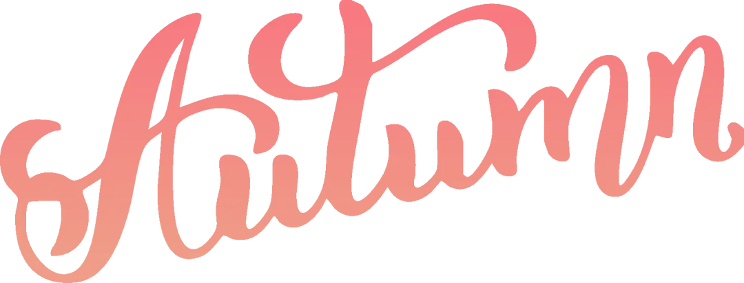 2026上海中考英语 | 考纲词汇用法手册【全套】 第33张