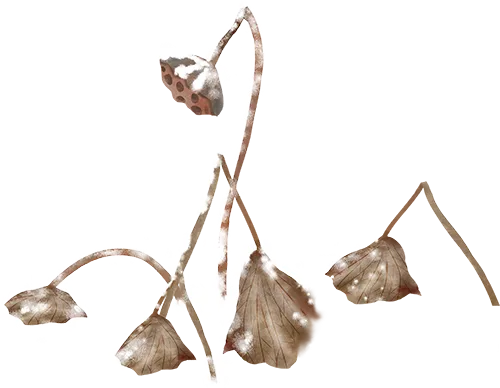 2026上海中考英语 | 考纲词汇用法手册【全套】 第37张