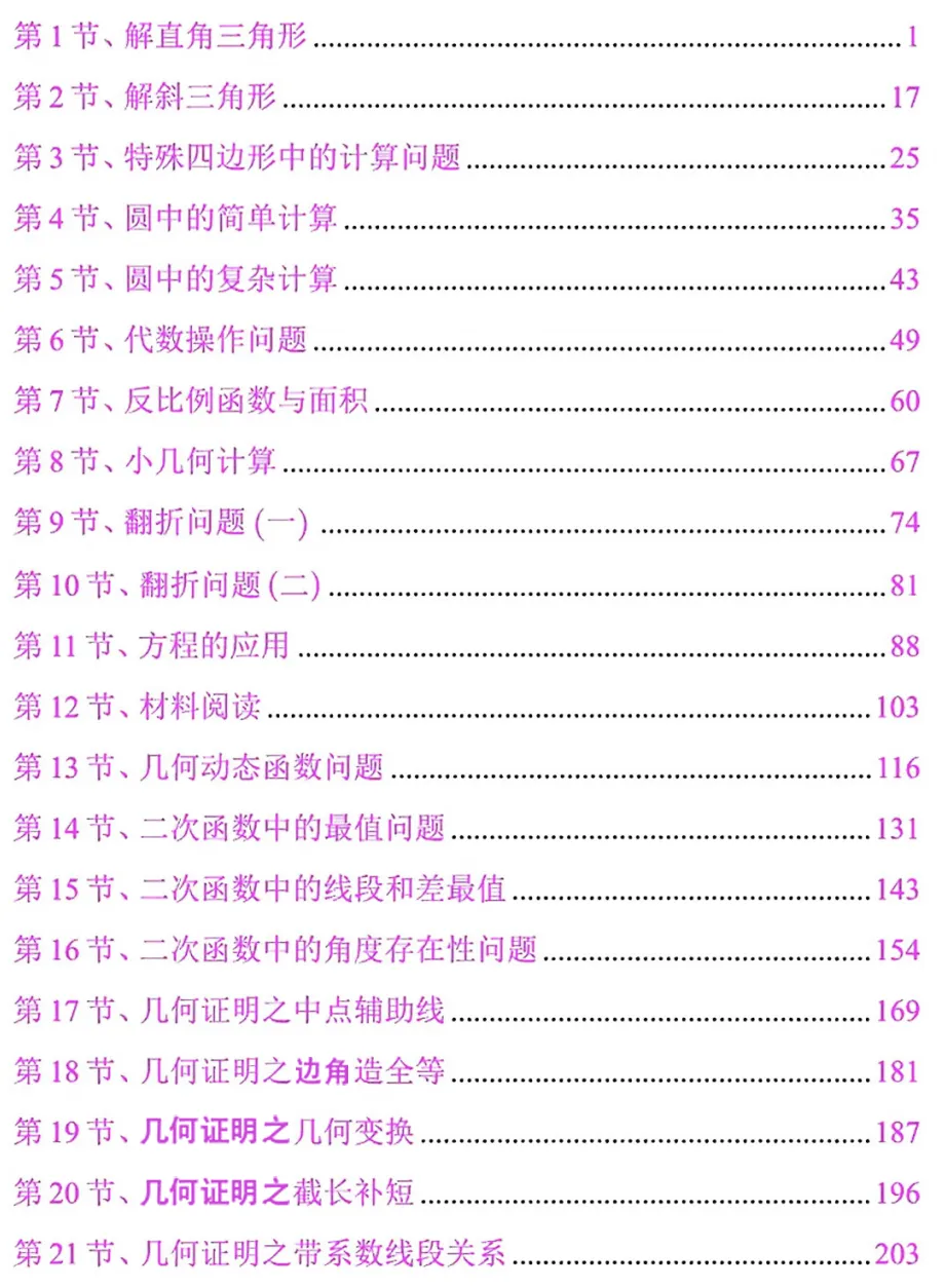 2026年中考数学新专题21节 第19张