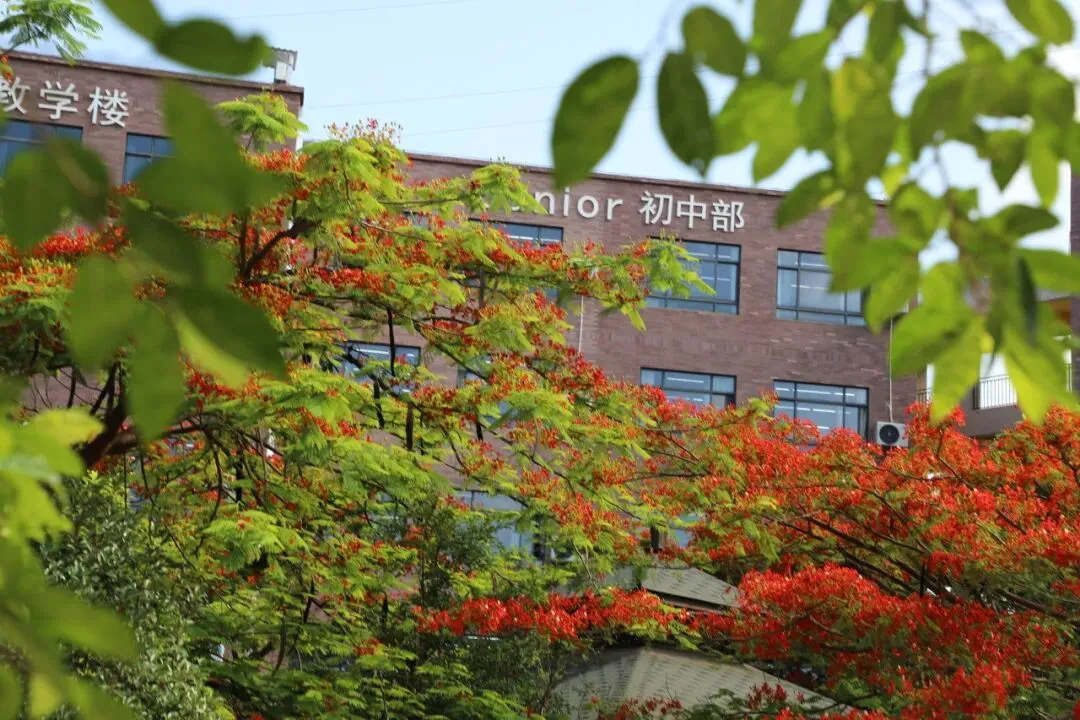 巧家县北附思源实验学校 聚焦素养·赢得中考主题报告 第2张 巧家县北附思源实验学校 聚焦素养·赢得中考主题报告 第2张