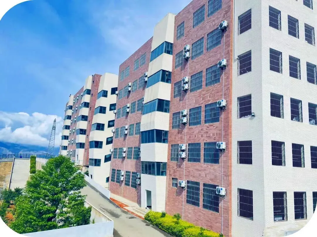 巧家县北附思源实验学校 聚焦素养·赢得中考主题报告 第3张 巧家县北附思源实验学校 聚焦素养·赢得中考主题报告 第3张