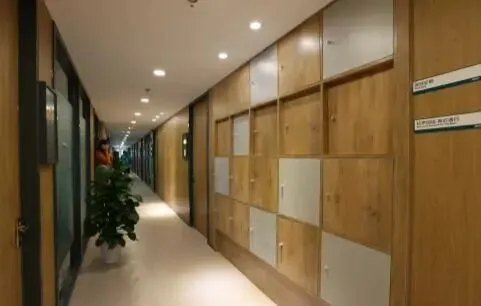 中考知识学不会?新东方为你的冲刺助力-武汉新东方初三全日制 第3张 中考知识学不会?新东方为你的冲刺助力-武汉新东方初三全日制 第3张