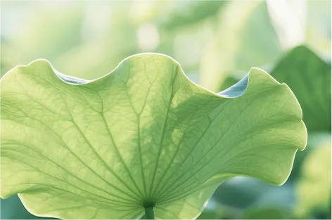 听完这个绝活,让你中考数学多涨40分 第2张