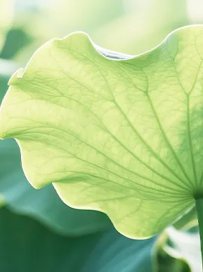 听完这个绝活,让你中考数学多涨40分 第15张