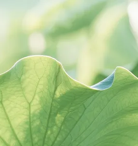 听完这个绝活,让你中考数学多涨40分 第16张