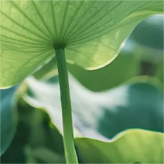 听完这个绝活,让你中考数学多涨40分 第17张