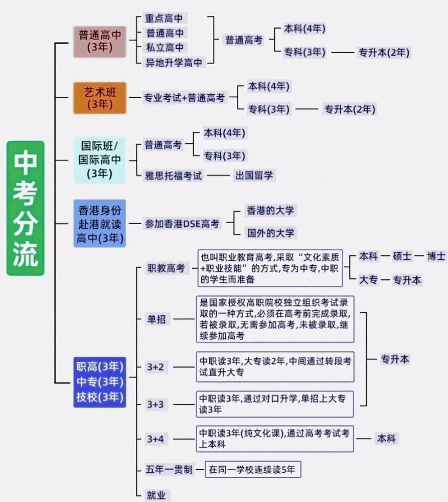 家长必看!中考分流不是终点,而是另一条赛道的起点 第1张