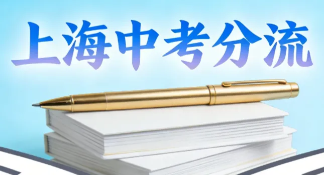家长必看!中考分流不是终点,而是另一条赛道的起点 第2张