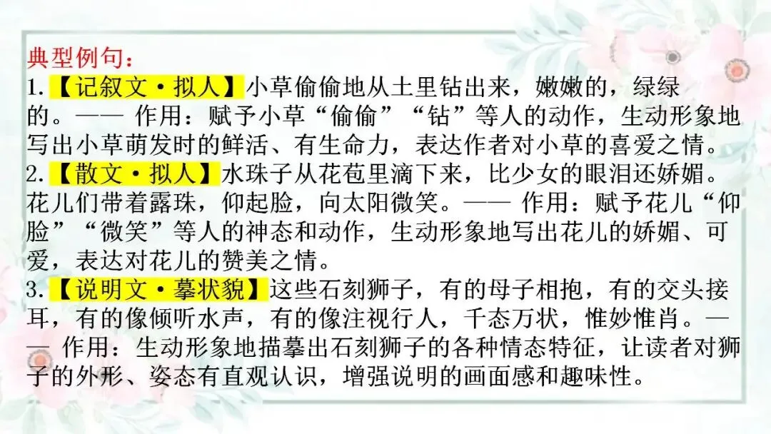 2026年中考语文专题复习 修辞手法与说明方法易混辨析 第13张