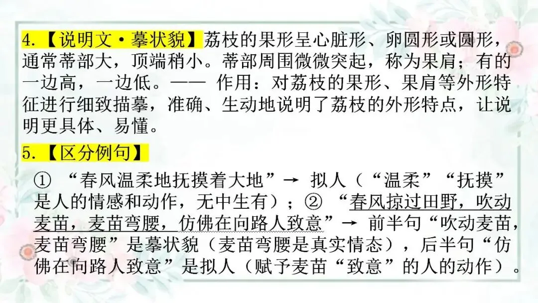 2026年中考语文专题复习 修辞手法与说明方法易混辨析 第14张