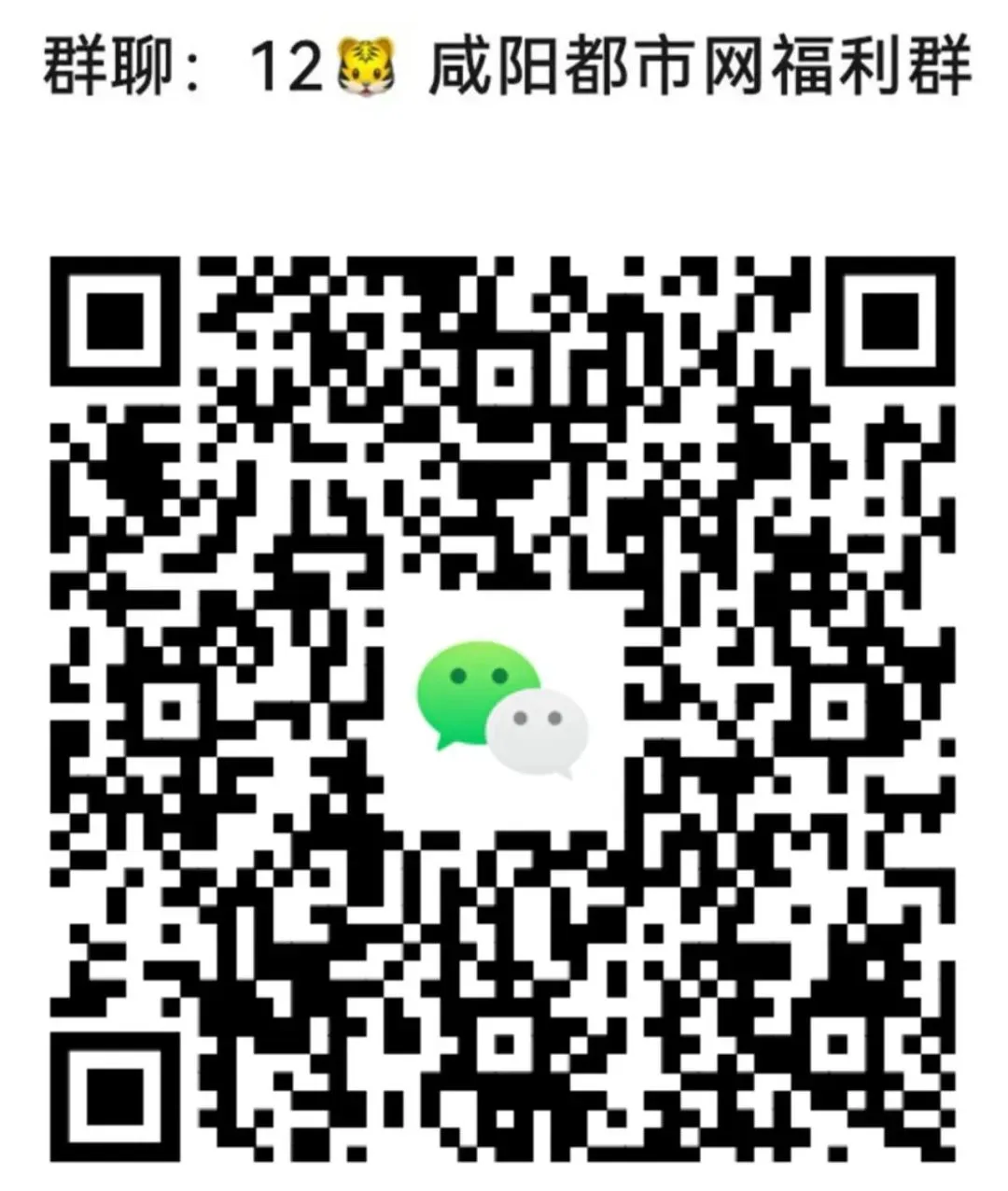 2027年咸阳中考,生物、地理成绩不计入总分! 第5张