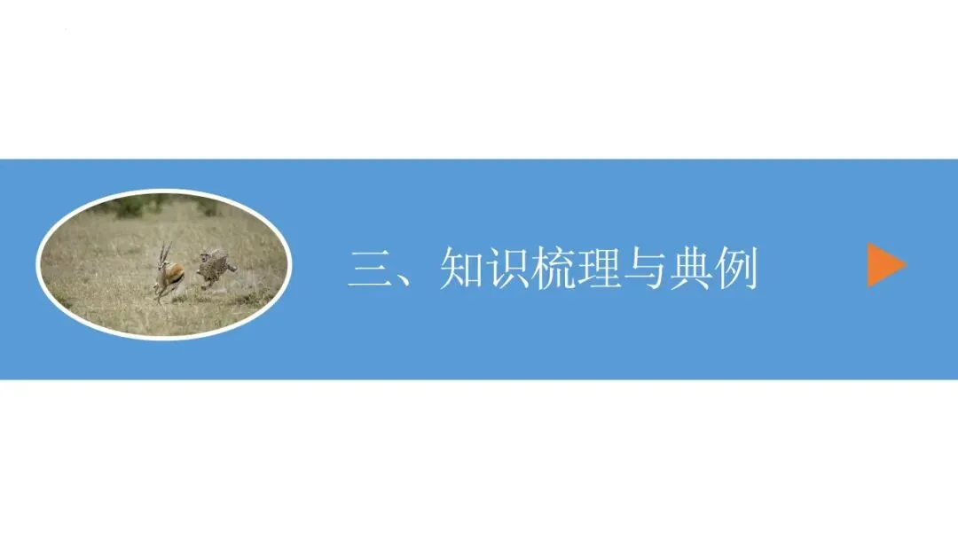 26年中考一轮复习:机械运动专题 第9张