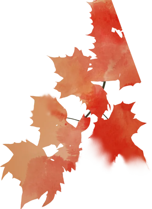 中考作文八大主题精讲(二):用“教学评一体化”构筑“亲情港湾”写作坐标 第6张 中考作文八大主题精讲(二):用“教学评一体化”构筑“亲情港湾”写作坐标 第6张