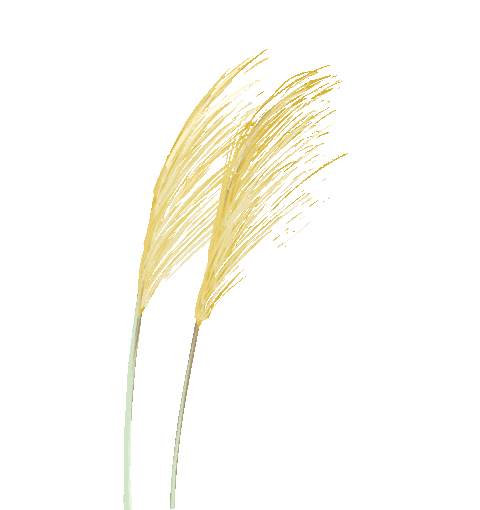 中考高分作文突破 | 《你的美,照亮我的心》 第3张